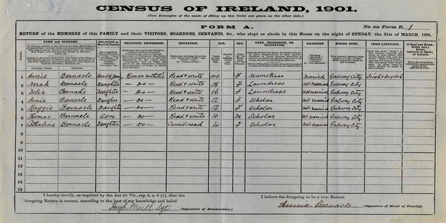 1901 Census